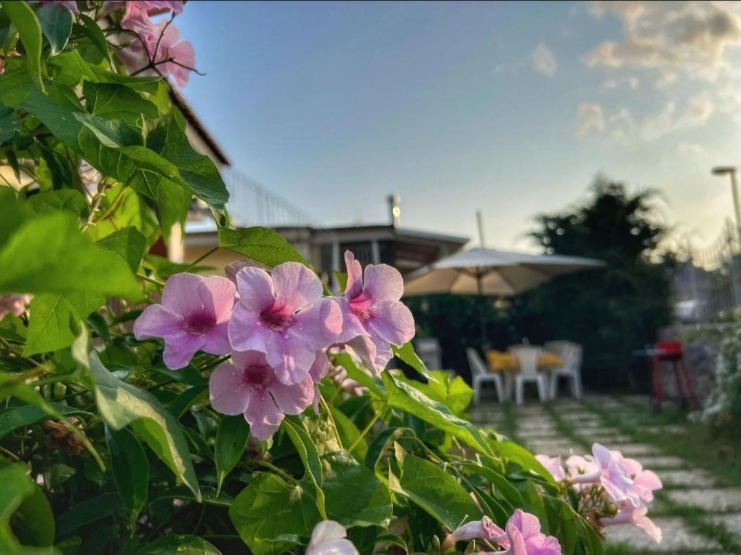 Casa Vacanze Villa Marisol Vico Equense Kültér fotó