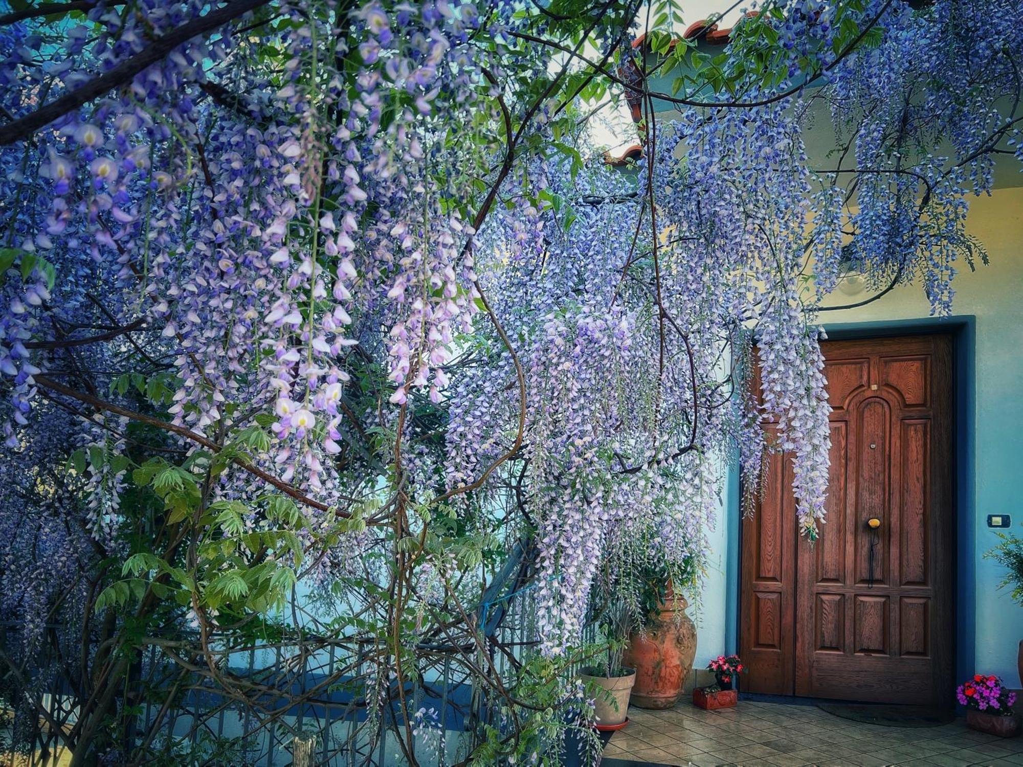 Casa Vacanze Villa Marisol Vico Equense Kültér fotó